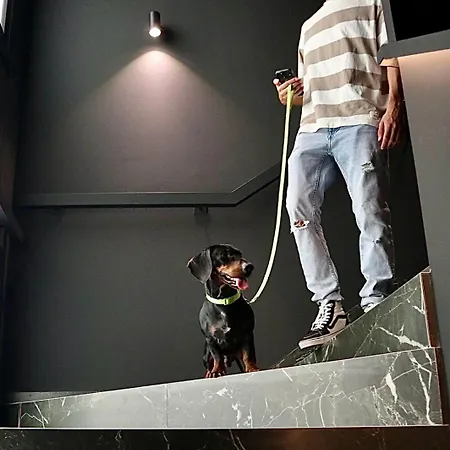 Boutique Olom - Only Adults Recommended Szálloda Cádiz