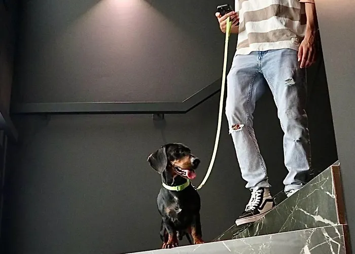 Boutique Hotel Olom - Only Adults Recommended Hotel Cádiz